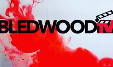 LA PLATEFORME DE STREAMING IVOIRIENNE : BLEDWOOD