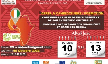 APPEL A CANDIDATURES / FORMATION ICC / GOETHE-INSTITUT ABIDJAN