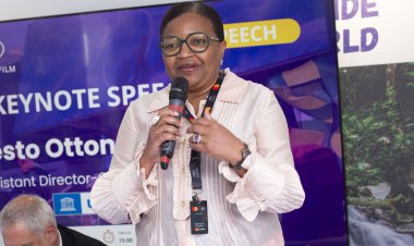 Pavillon Afriques 2025 : Plus Qu'une Vitrine, un Outil de Transformation