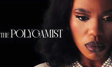 The Polygamist : sexe, pouvoir, trahisons… la série sud-africaine qui fait vibrer Netflix